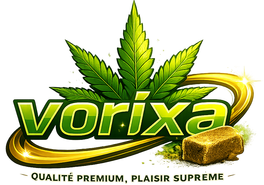 vorixa.fr